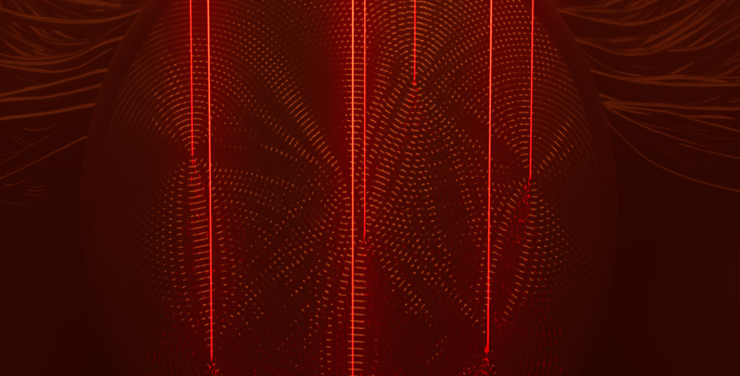 Illustration of shells
