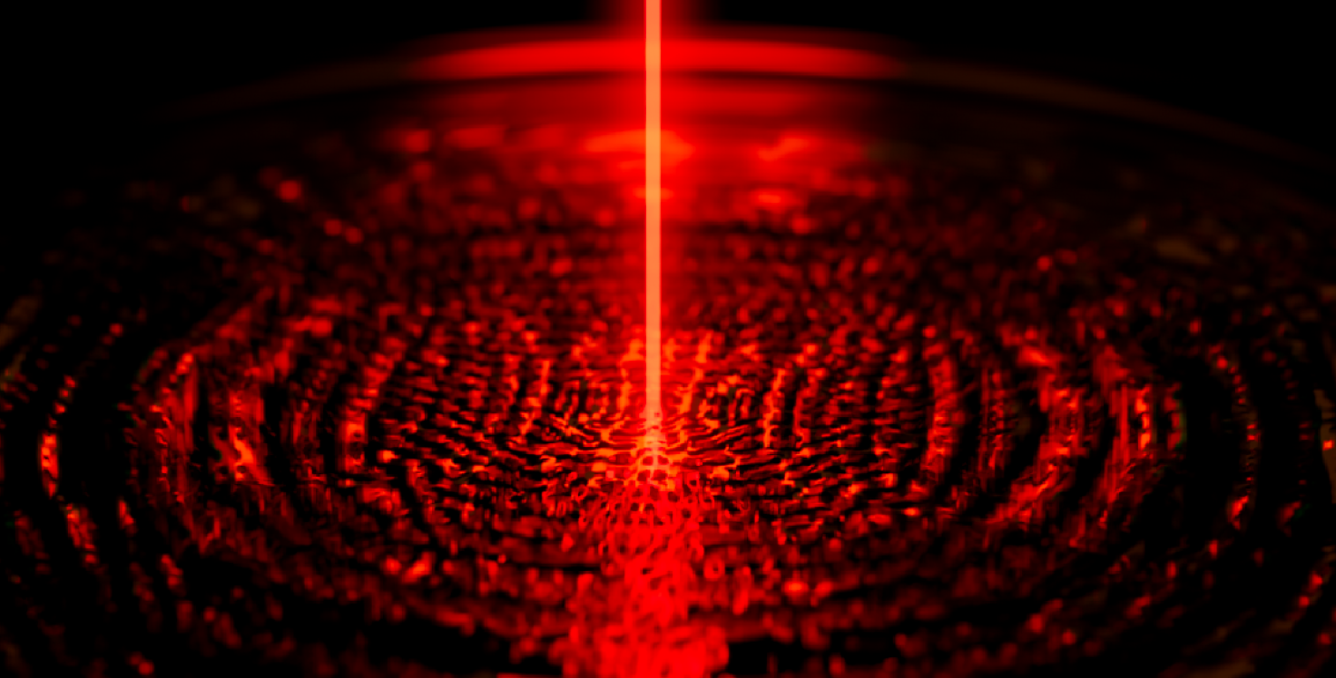 Illustration of shells
